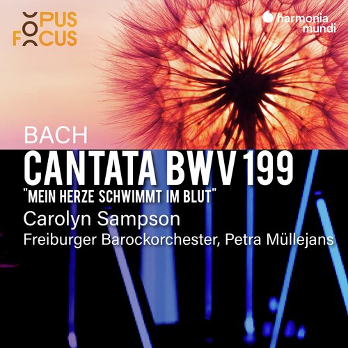 Bach: Cantata, BWV 199