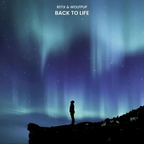 Back to life_poster_image