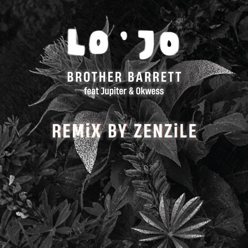 Brother Barrett (Zenzile Remix)