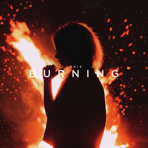 Burning_poster_image