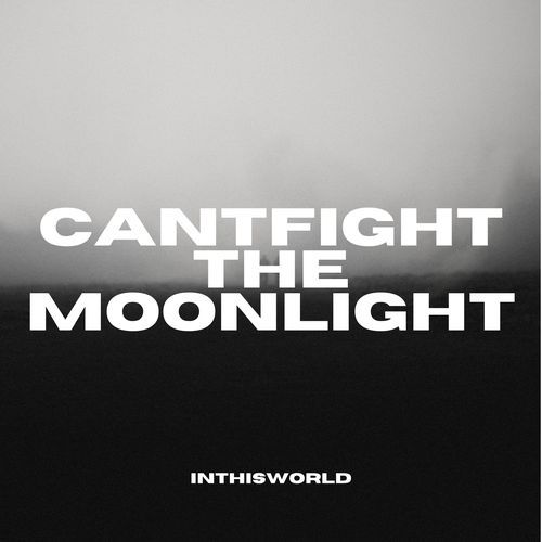 CAN'T FIGHT THE MOONLIGHT (DnB)
