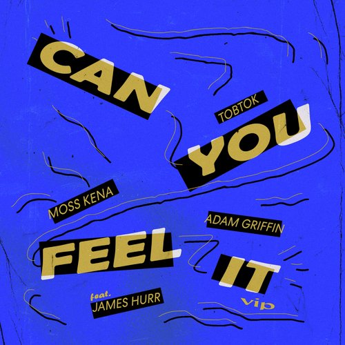 Can You Feel It (feat. James Hurr) (VIP Mix)