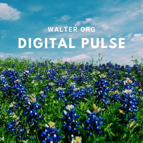 DIGITAL PULSE