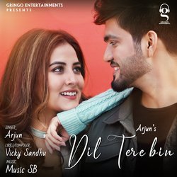 Dil Tere Bin (Tik Tok 1)-OBBae0ZZcXk