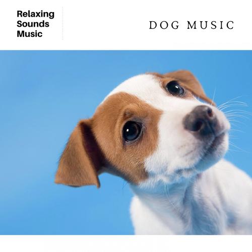 Dog Music cover art