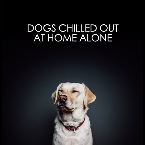 Ultimate Dog Relaxation cover art