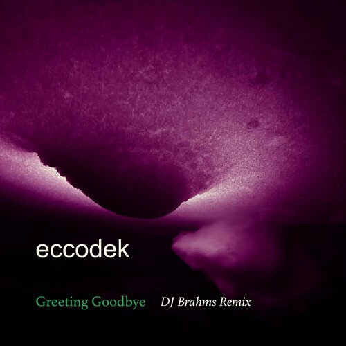 Greeting Goodbye (DJ Brahms Remix)