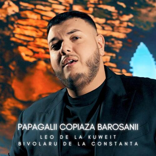 Papagalii copiaza barosanii_poster_image