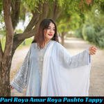 Pari Roya Amar Roya Pashto Tappy