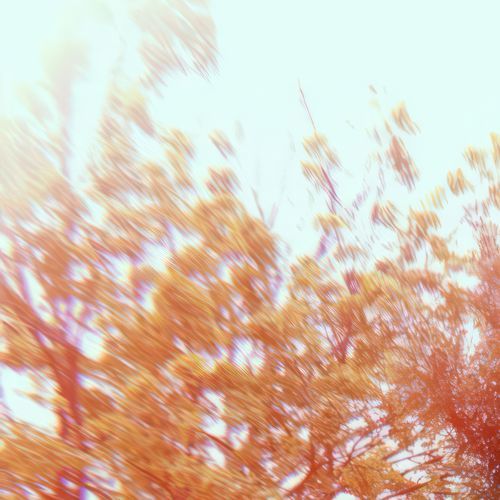 Lo-Fi Lullabies cover art