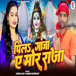 Pila Gaja A More Raja