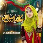 Pukaro Ya Rasool Allah