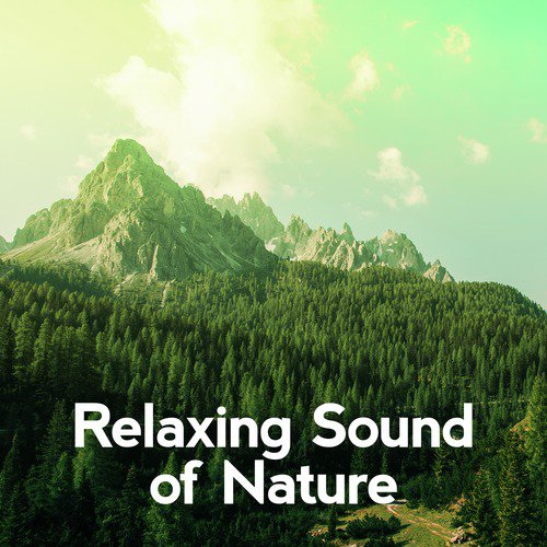 Relaxing Sound of Nature