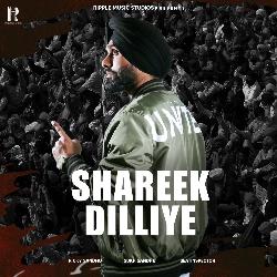 Shareek Dilliye-Iw1feB9HZWc