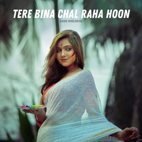 Tere Bina Chal Raha Hoon