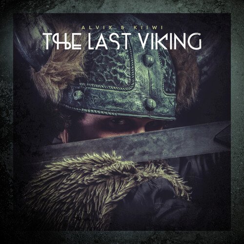 The Last Viking_poster_image