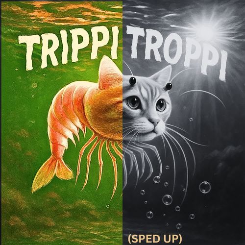 Trippi Troppi Brainrot Funk (Sped Up)