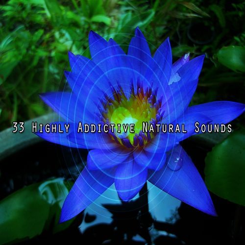 33 Highly Addictive Natural Sounds_poster_image