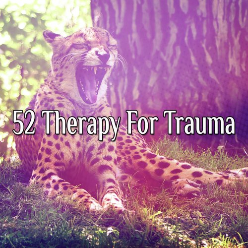 52 Therapy For Trauma_poster_image