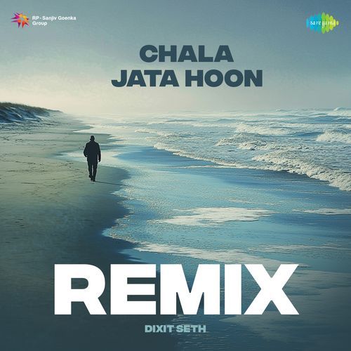 Chala Jata Hoon - Remix