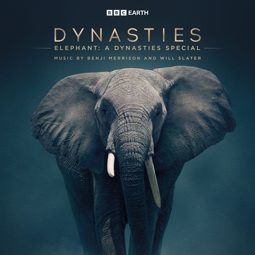 Elephant: A Dynasties Special (Original Television Soundtrack)_poster_image