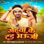 Gehu Ke Tud Bhauji
