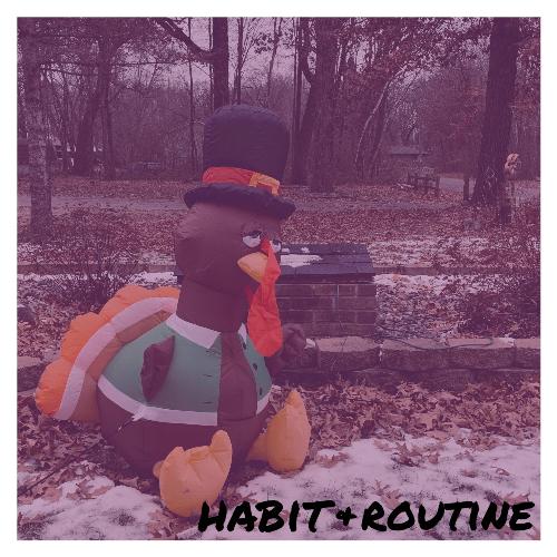 Habit & Routine