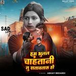 Ham Bhulal Chahtani Tu Satavtaru Ho