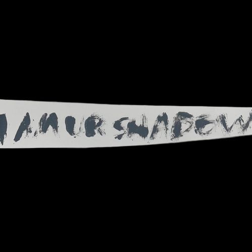 I AM UR SHADOW cover art