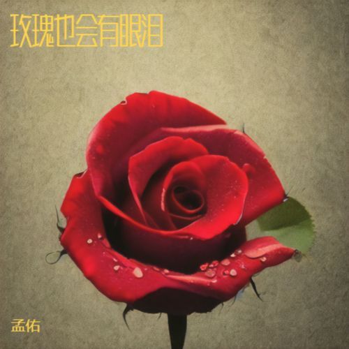 玫瑰也会有眼泪 cover art