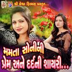 Koi Radine Dil Bahelaave Chhe