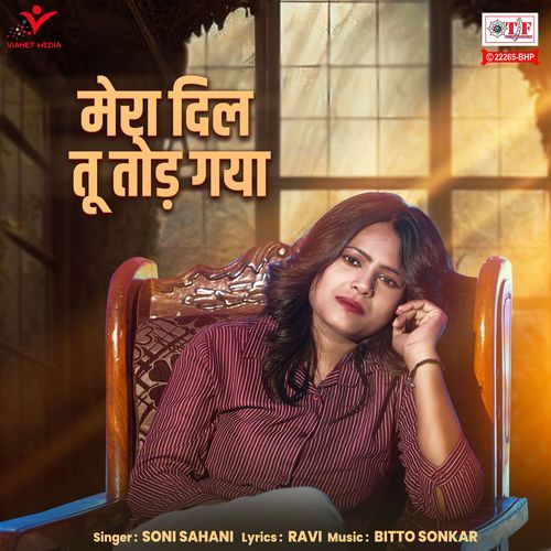 Mera Dil Tu Tod Gaya