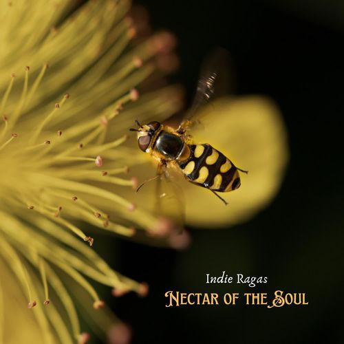 Nectar of the Soul