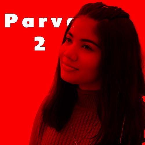 Parva (Slowed Version)