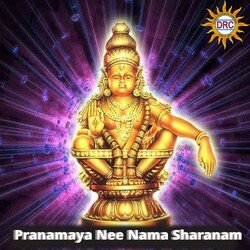 Pranamaya Nee Nama Sharanam-NjgYfRp6dAc