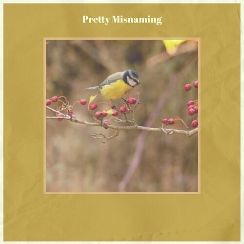Pretty Misnaming-okv tunes