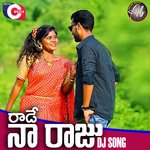 Rade Na Raju (DJ Song)