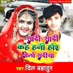 Shadi Shadi Kah Hanhi Hoi Gelau Shadiya