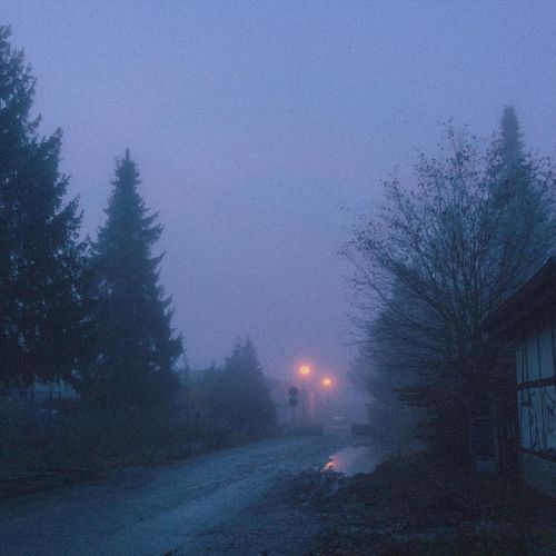 The Avenue (excerpt) cover art