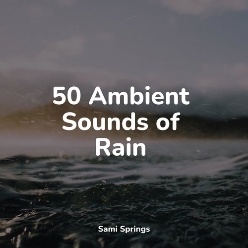 50 Ambient Sounds of Rain_poster_image