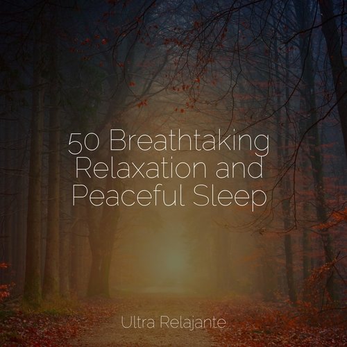 50 Breathtaking Relaxation and Peaceful Sleep