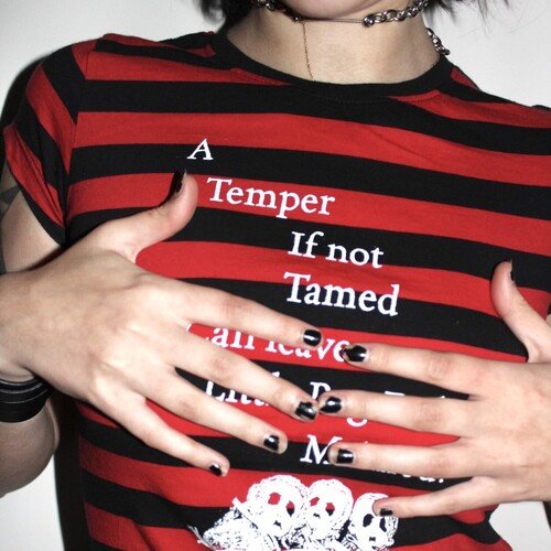 A Temper If Not Tamed_poster_image