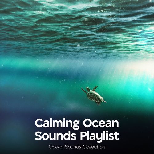 Calming Ocean Sounds Playlist