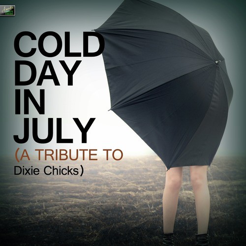 Cold Day in July - A Tribute to Dixie Chicks