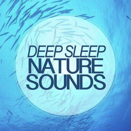 Deep Sleep Nature Sounds