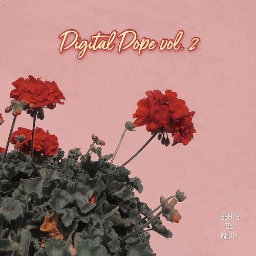 Digital Dope, Vol. 2