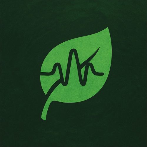 Eco Groover cover art