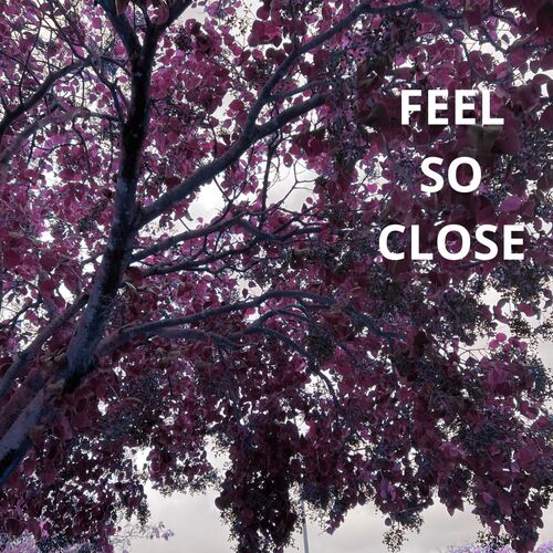 Feel So Close_poster_image