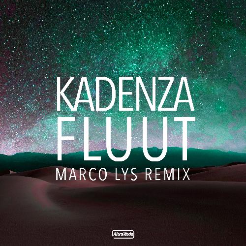 Fluut (Marco Lys Remix) cover art