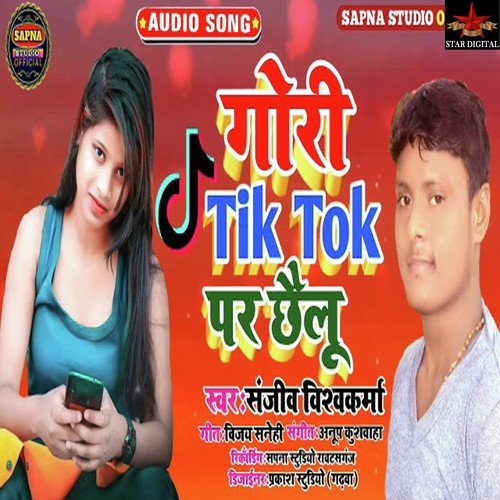 Fumble small Humidity Gori Tik Tok Par Chhailu - Song Download from Gori Tik Tok Par Chhailu @  JioSaavn